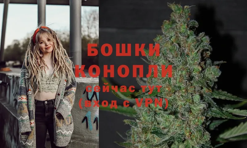 что такое   Вельск  Бошки Шишки SATIVA & INDICA 